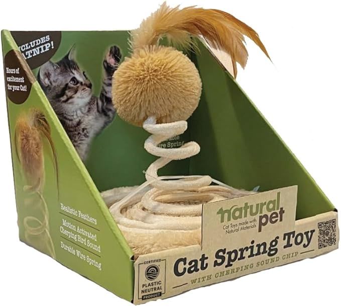 Cat spring toy