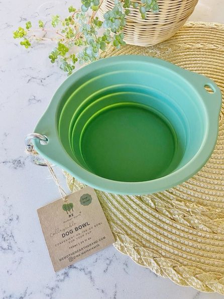 Collapsible Silicone Dog Bowl Sage Green