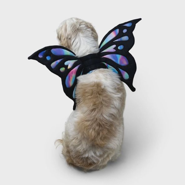 Butterfly Wings