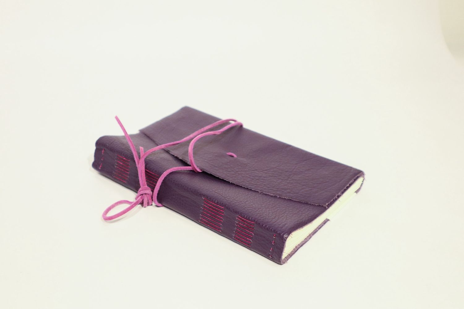 Large Lined Field Journal, Jennifer Wolken: The Artist Studio