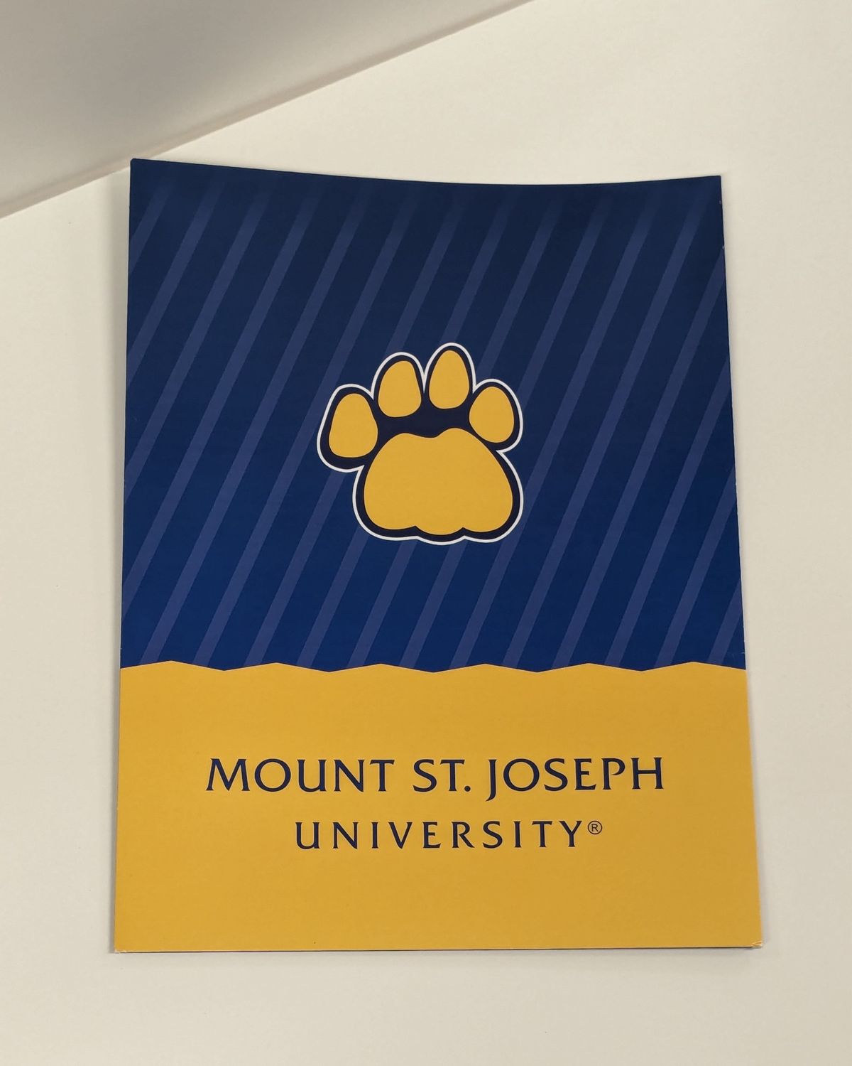 Pocket Folder Paw Print