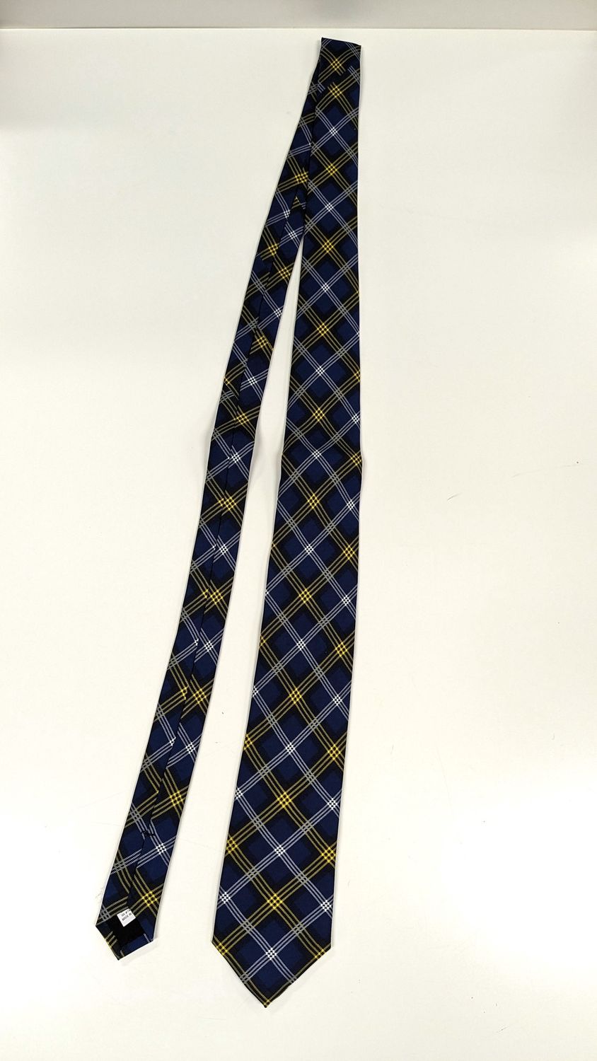 Tartan Long Ties