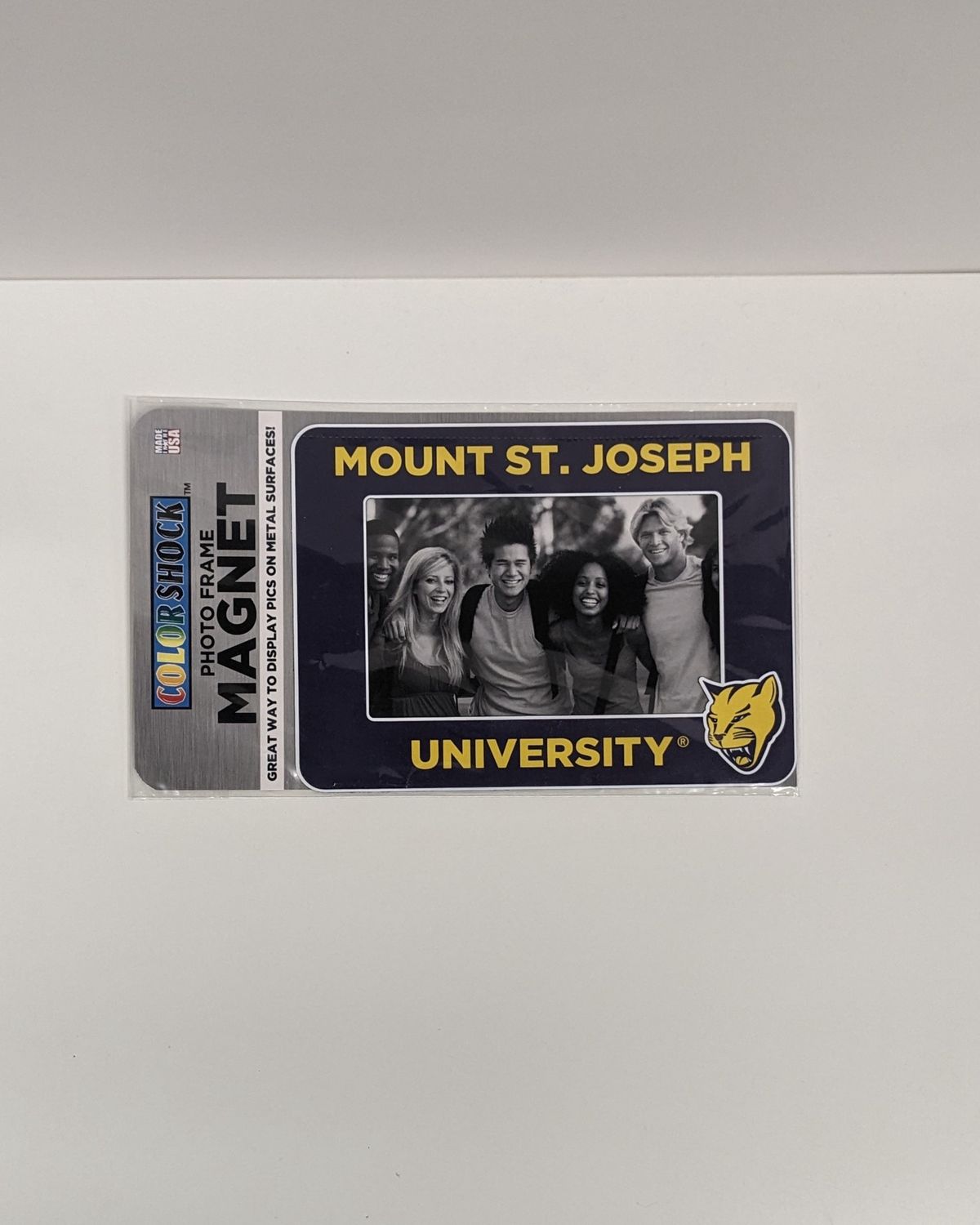 Magnet Frame MSJ w/ Lion