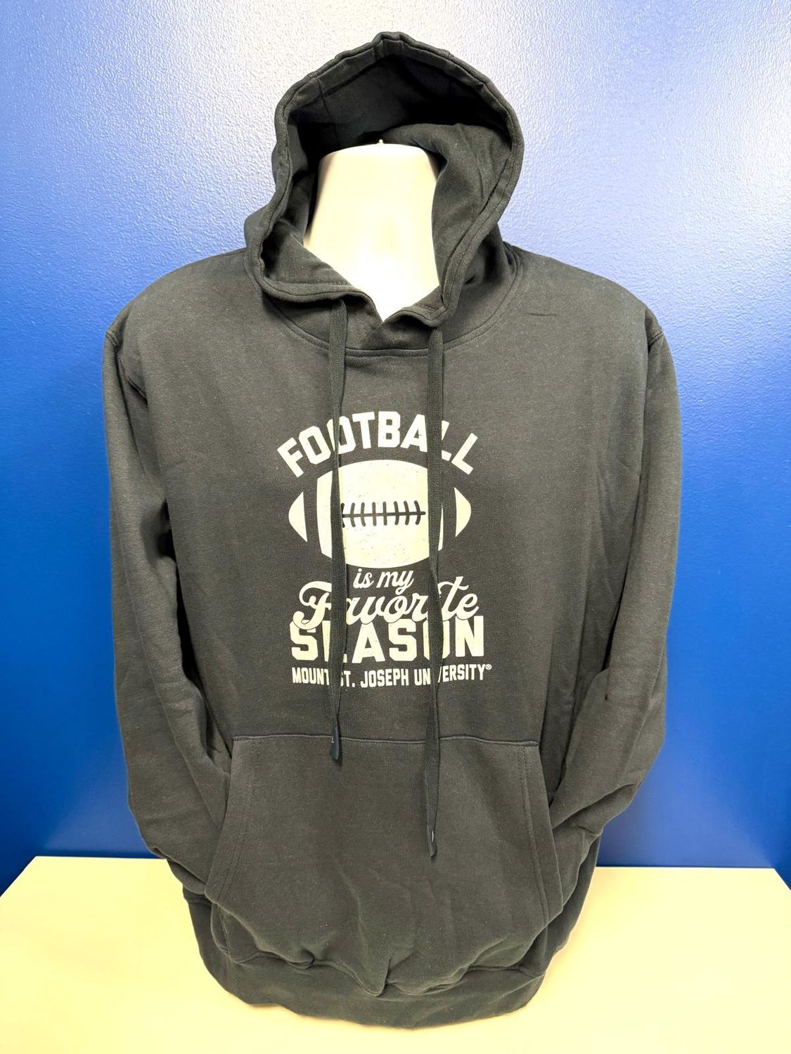 Football is My Favorite Season Navy Hoodie