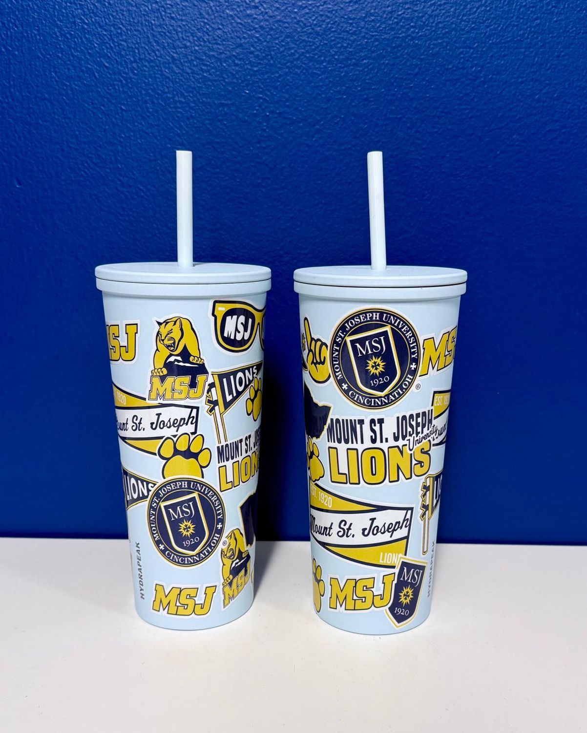 Celebration Hydrapeak 25oz Tumbler