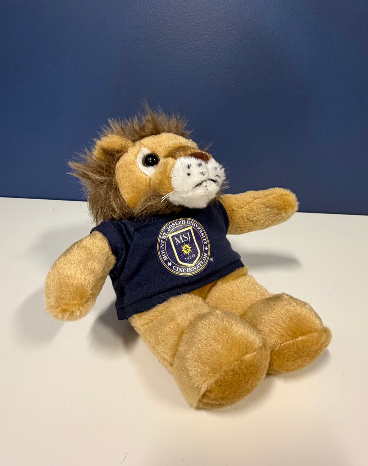 Lion Bean Buddy Navy Mount St. Joseph University Cincinnati, OH T-Shirt