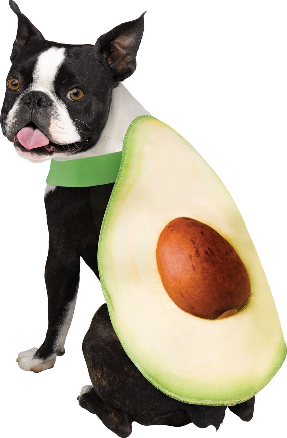 Avacadog, Size: Large/XL