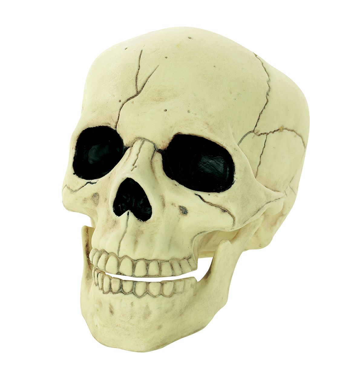 Glow in the Dark Skull 6&quot;