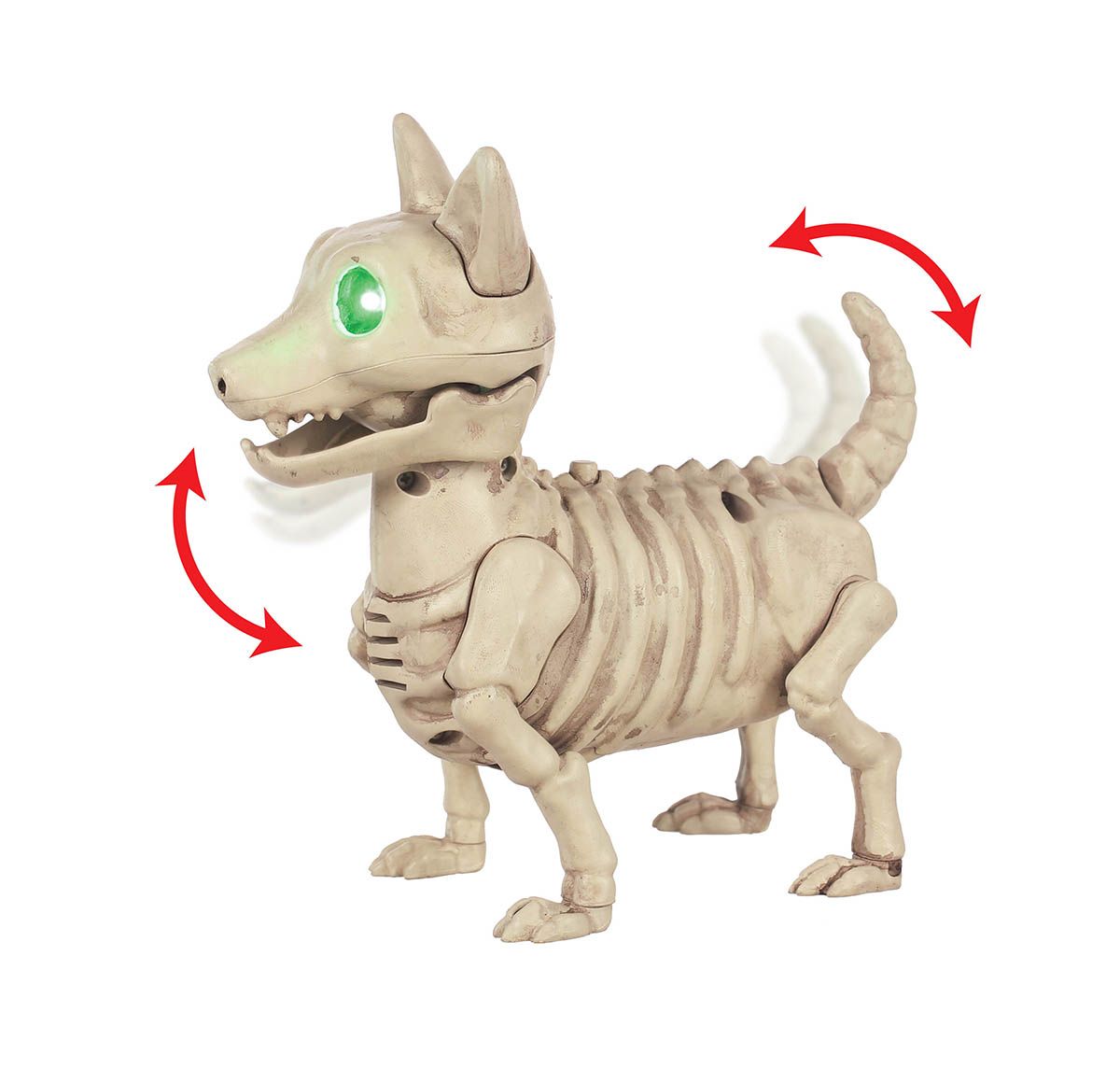 Animated Doggie Bonez  6.75&quot;
