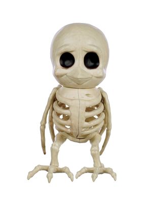 Cute Bird Skeleton 7.5&quot;