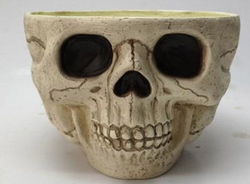 9.5&quot; Skull Candy Bowl