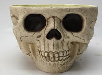 9.5&quot; Skull Candy Bowl