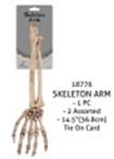 Skeleton Arm 14&quot;
