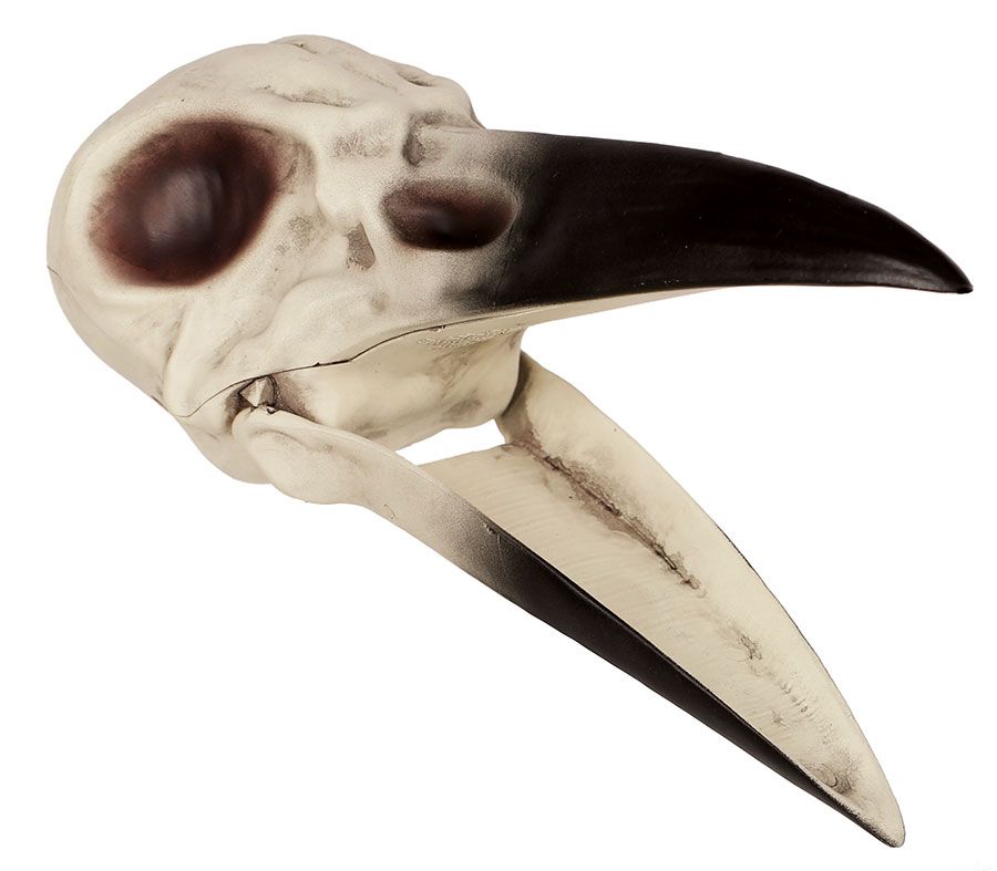 Raven Skull 8.75&quot;