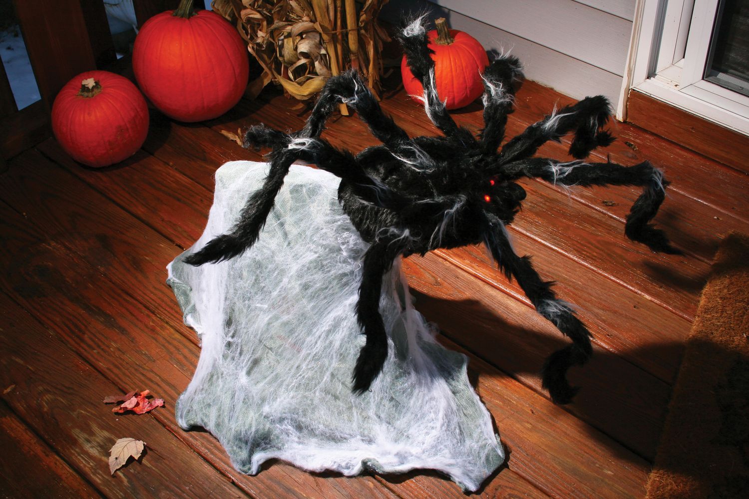 36&quot; Giant Jumping Spider