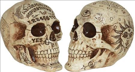 7&quot; Fortune Telling Skull