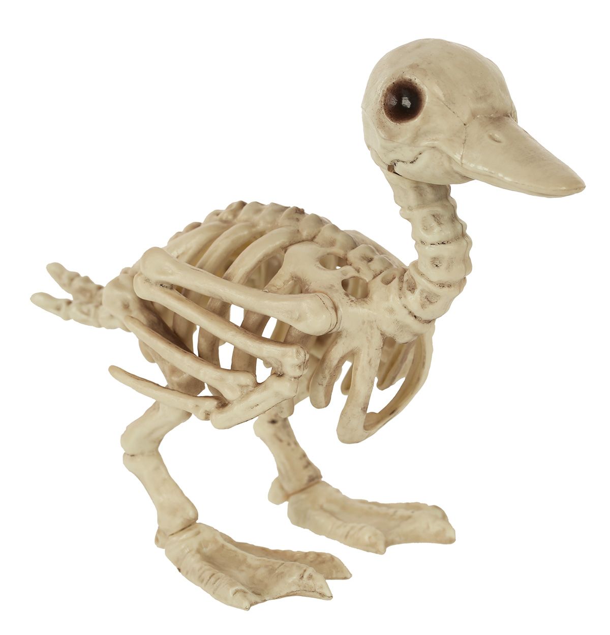 Skeleton Duck Small