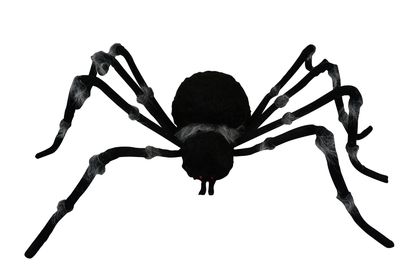 73&quot; Grey Trim Black Spider