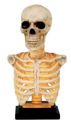 Skeleton Bust Lights &amp; Sound 16&quot;
