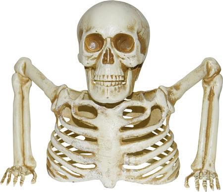 8&quot; Skeleton Groundbreaker
