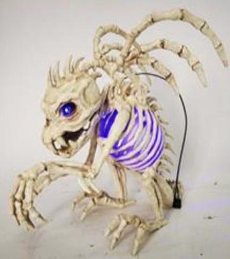 10&quot; Skeleton Gargolye Light-Up Eyes &amp; Chest