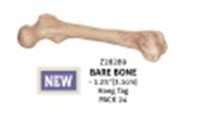 Skeleton Bone 9&quot;
