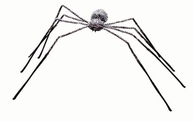Fuzzy Spider 50&quot; Pointed Legs Grey