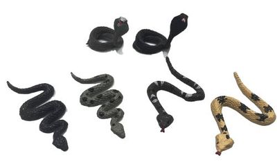 Bag of Snakes 6 Ct