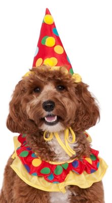 Clown Pet Costume