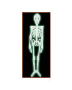 Plastic Nite-Glo Skeleton