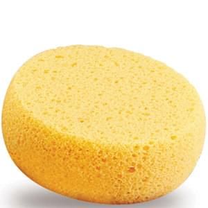 Foam Hydra Sponge Applicator