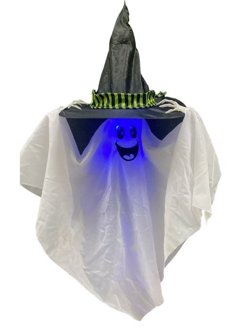 Witch Ghost Light and Sound 33.5&quot;