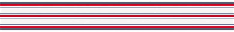 Peppy Patriotic - Paper Table Runner