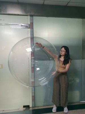 50&quot; Giant Transparent Bobo - Flat