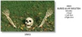 Buried Alive Skeleton Parts