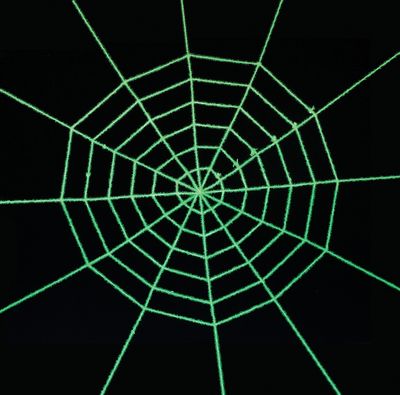 Rope Web Black Light Shimmering 10ft