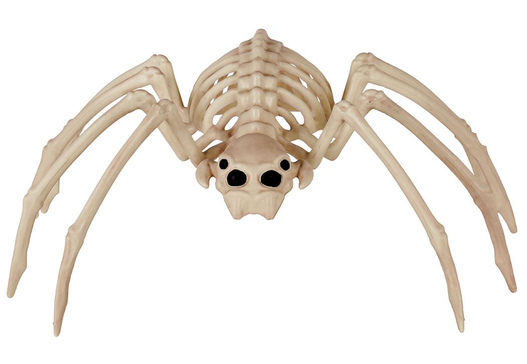 Spine Chilling Spider 20&quot;