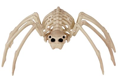 Spine Chilling Spider 20&quot;