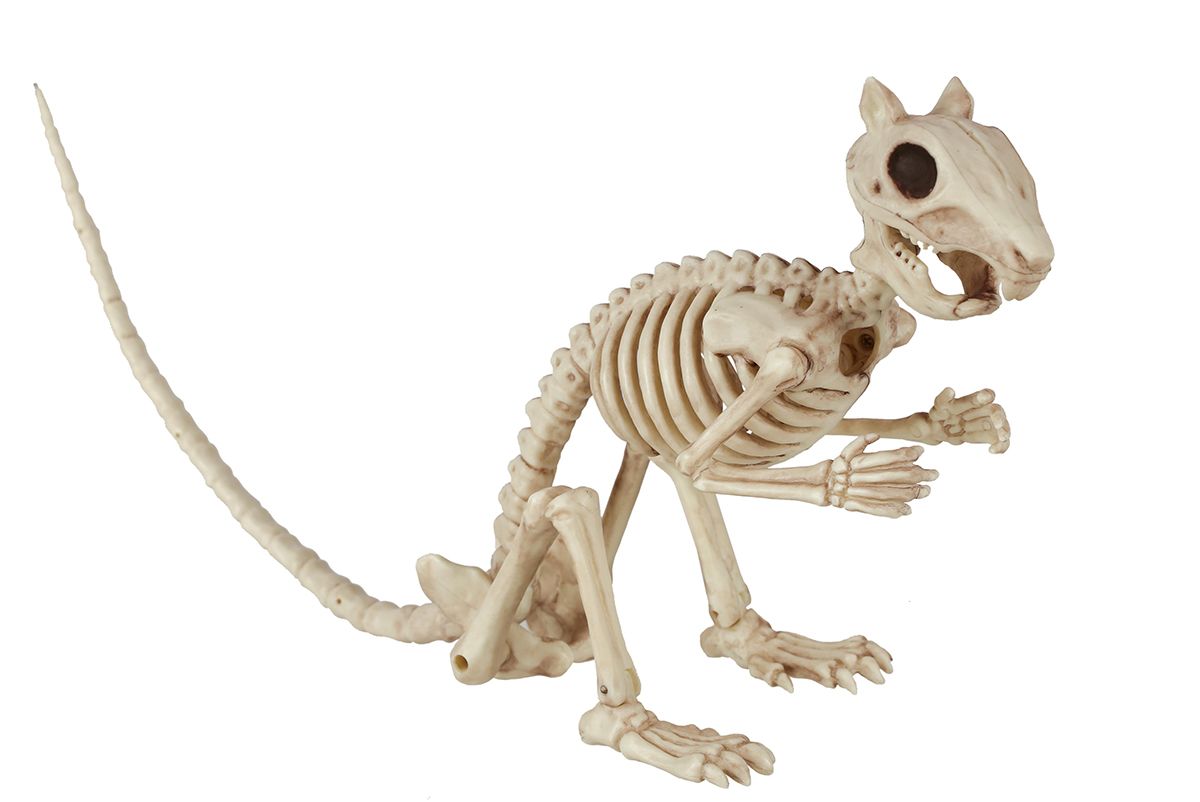 Skeleton Squirrel 5.5&quot;