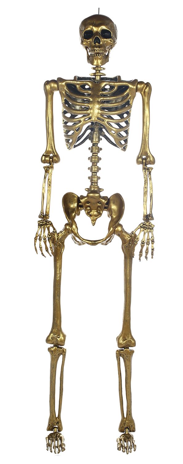 5&#39; Gold Posable Skeleton