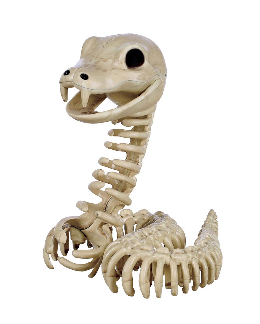 Skeleton Snake 6.5&quot;