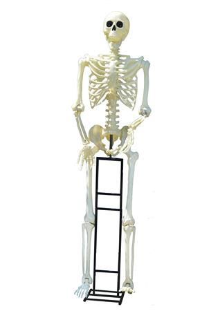 10&#39; Titan Skeleton w/ LED Eyes