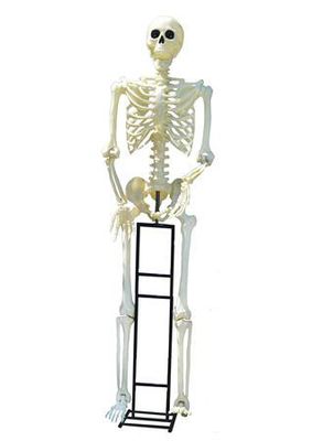 10&#39; Titan Skeleton w/ LED Eyes