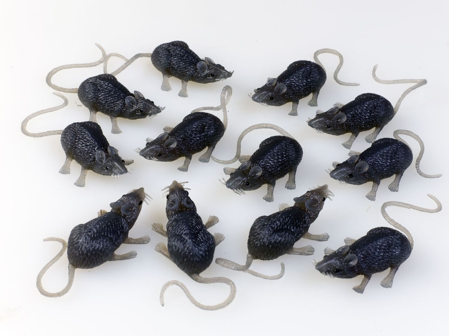 Bag of Mice 12ct