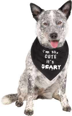 Pet Bandana