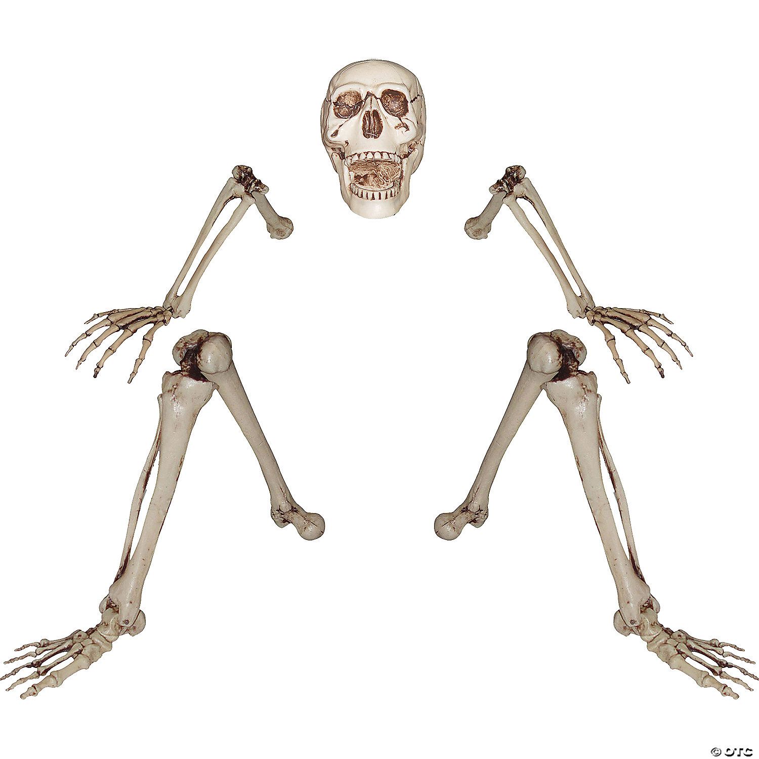 Lifesize Groundbreaking Skeleton