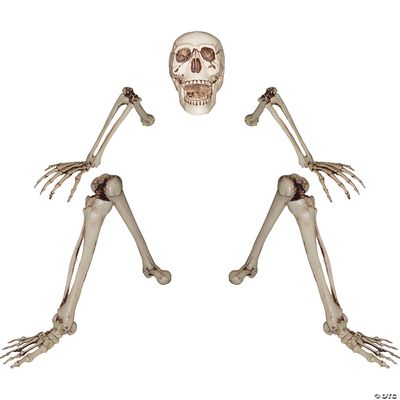 Lifesize Groundbreaking Skeleton