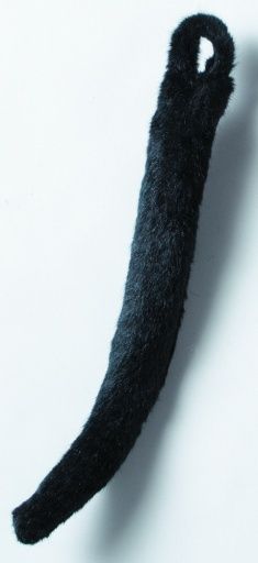 Mouse/Cat Tail