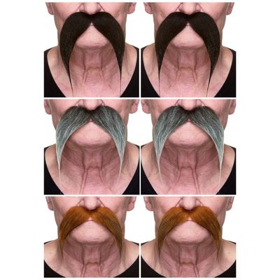 Walrus Styled -
