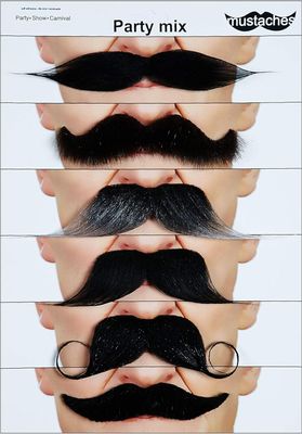 Mustache Party Mix 6ct